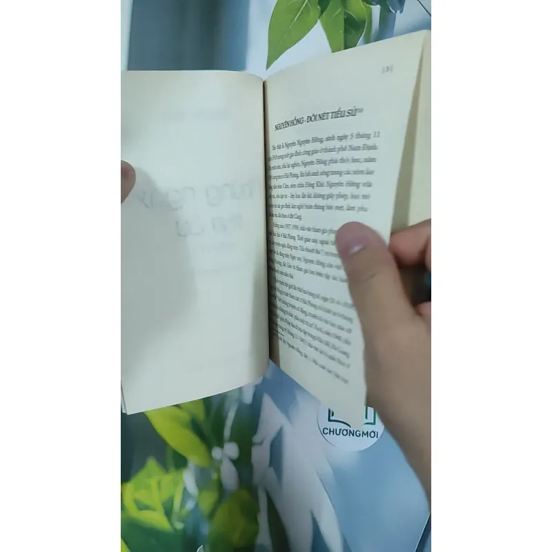 Những ngày thơ ấu - Nguyên Hồng 798423