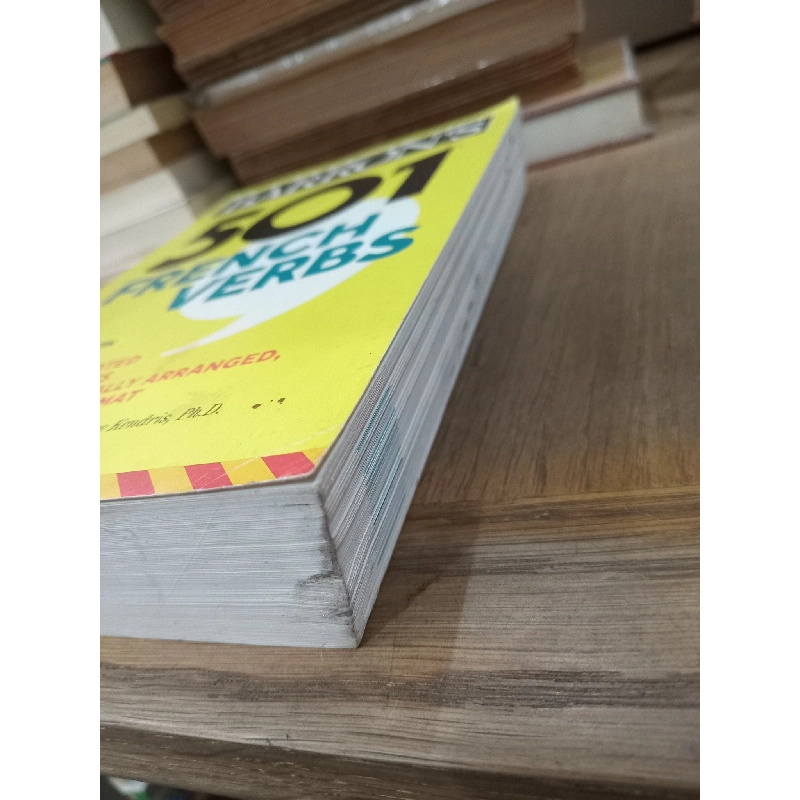 Barron's 501 French verbs - Christopher Kendris, Theodore Kendris 777169