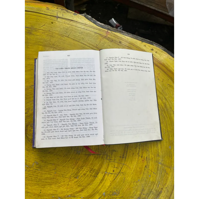 TỪ ĐIỂN TIẾNG VIỆT THÔNG DỤNG- NGUYỄN NHƯ Ý CHỦ BIÊN 730987