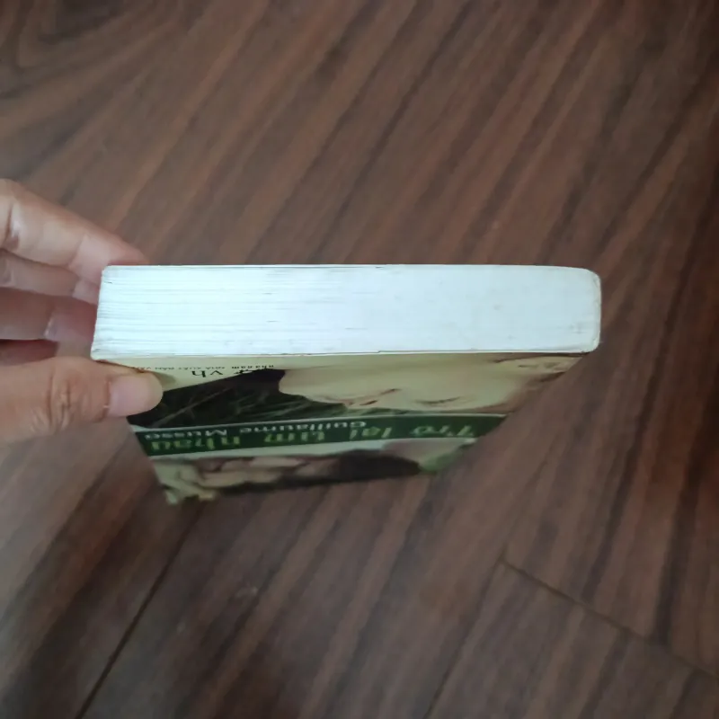 Trở lại tìm nhau 1035846
