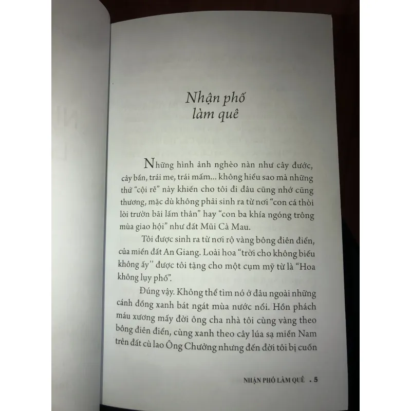 Nhận phố làm quê - Nguyễn Thị Thanh Huệ 1011107