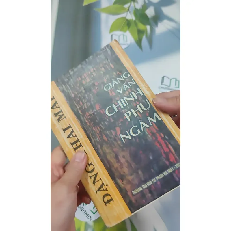 [XƯA] Giảng Văn Chinh Phụ Ngâm (1992) - Đặng Thai Mai 776035