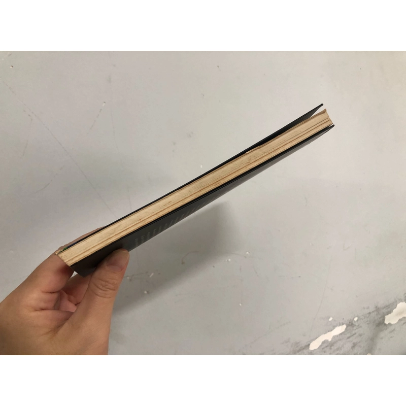 Cũng đành - Dương Nghiễm Mậu (sách còn đẹp) 334299