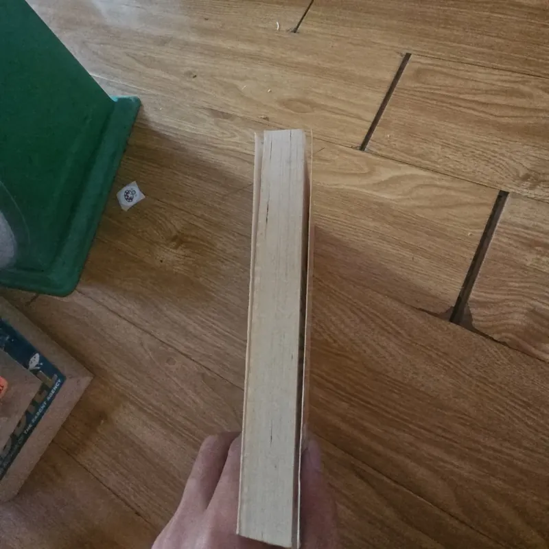 Dork diaries pop star Giá 20k  604052