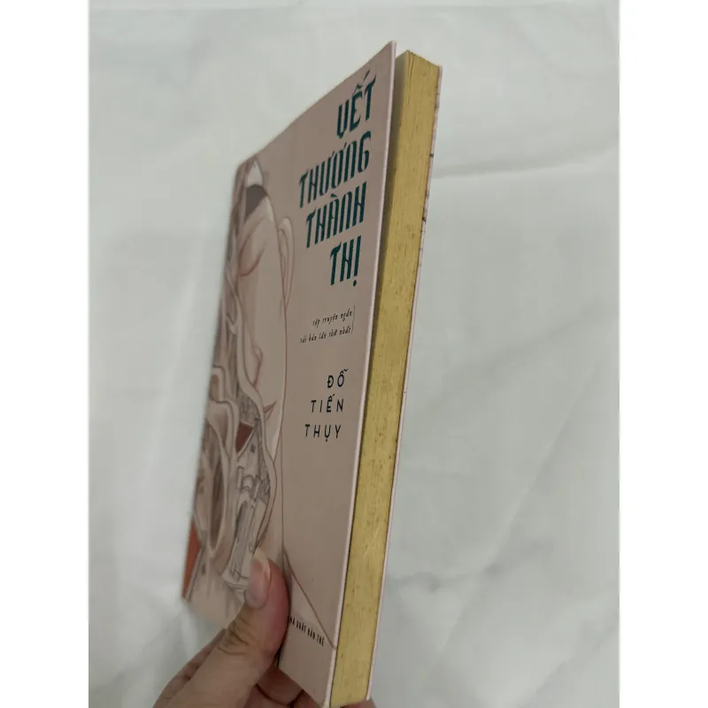 VẾT THƯƠNG THÀNH THỊ - Đỗ Tiến Thuỵ 993258