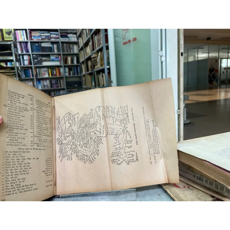 CHÂM CỨU HỌC THỰC HÀNH TRỊ LIỆU THẦN KINH HỌC 561966