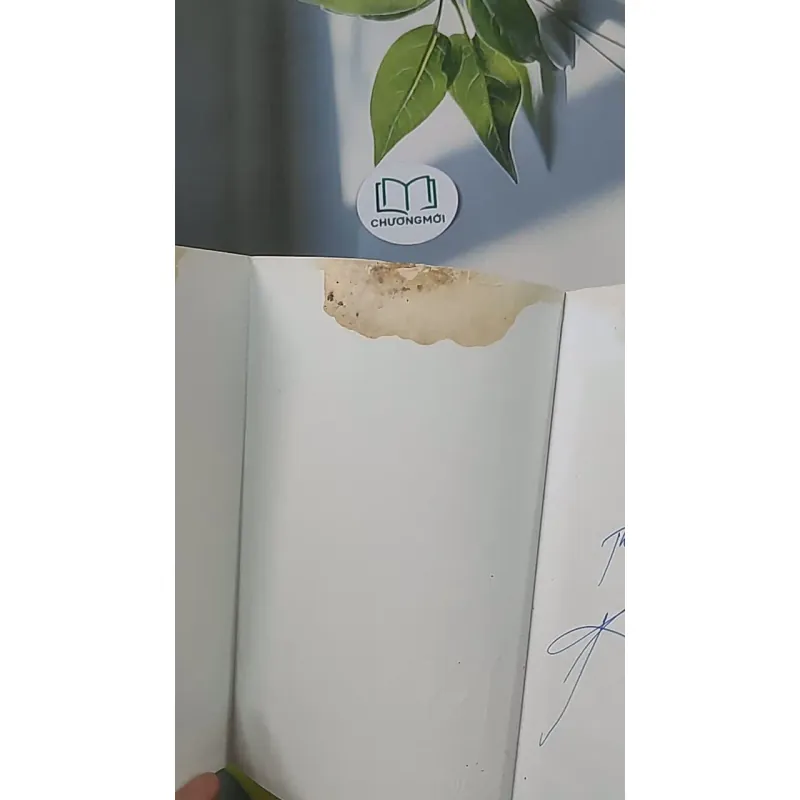 NYM Tôi của tương lai - Nguyễn Phi Vân 688506