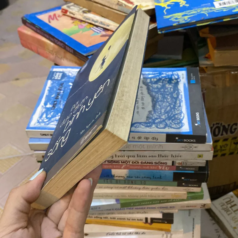 Đời đảo điên bình yên sống  929483