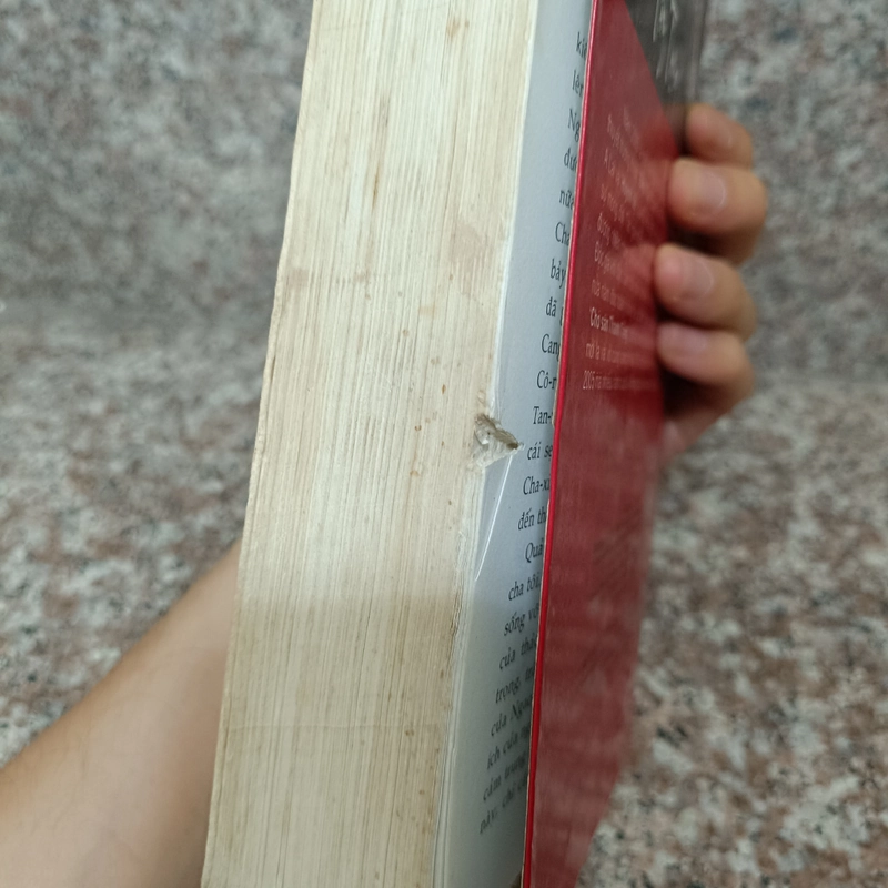 Chó ngao Tây Tạng - Vương Chí Quân 443978
