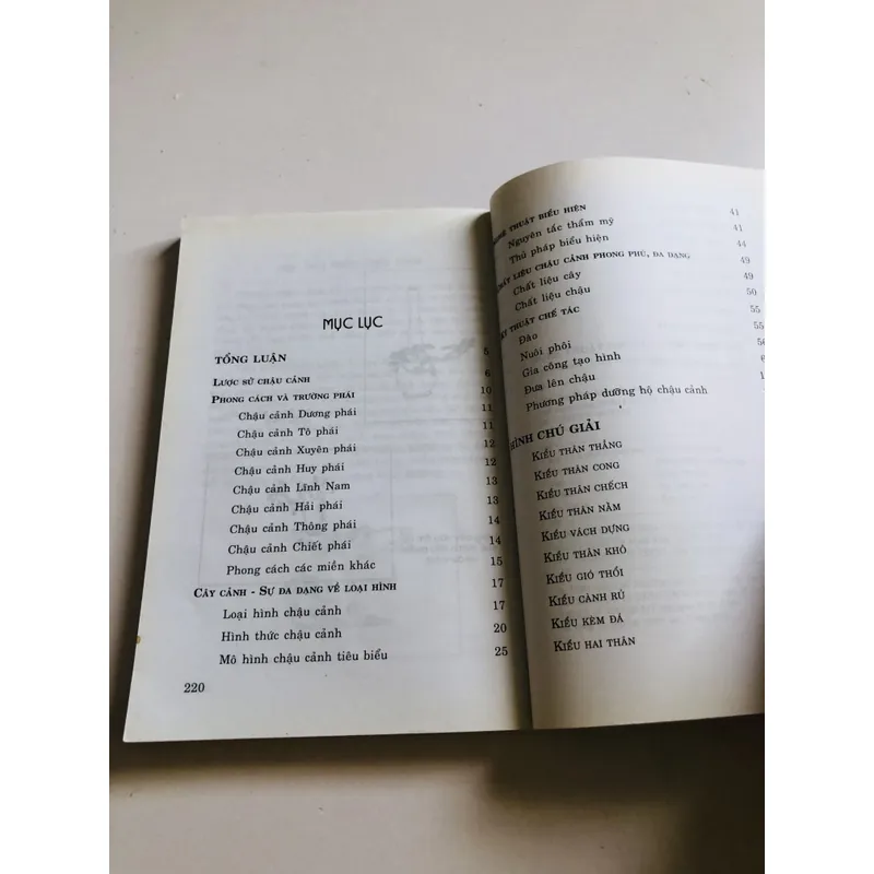 NGHỆ THUẬT CHẾ TÁC CHẬU CẢNH 698194