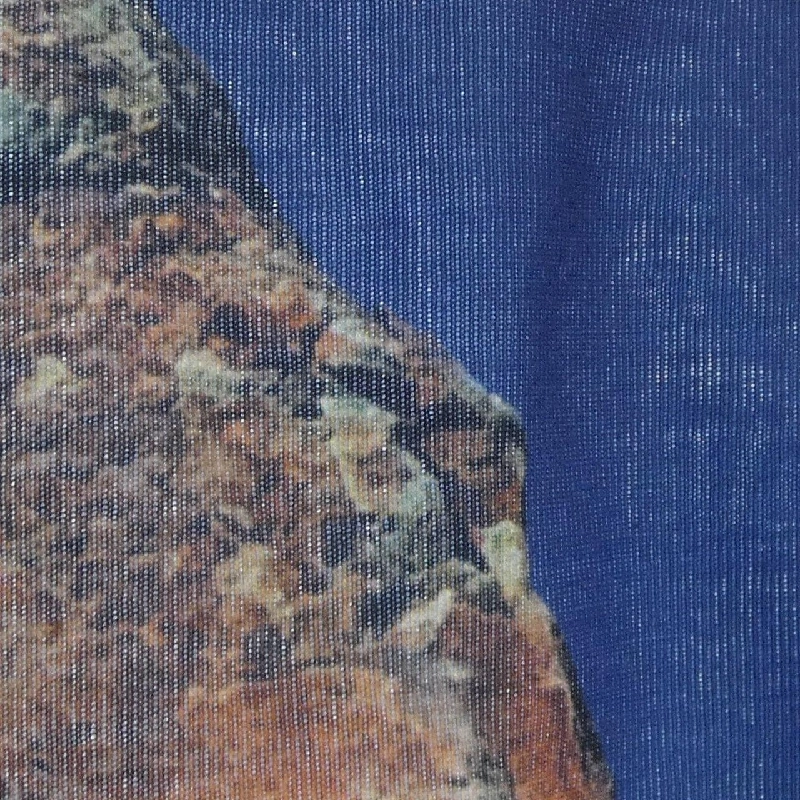 【Mã giảm giá】ACNE STUDIOS Áo 646990