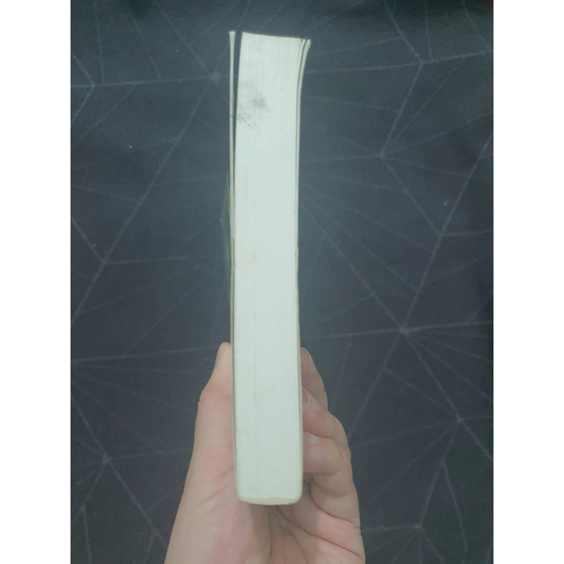 "Có người đang tìm bạn" - Trương Hạo Thần 496107