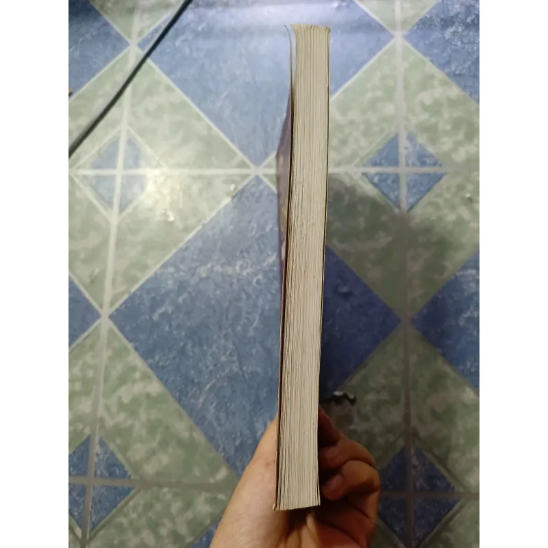 Ngôn ngữ và ý thức - Noam Chomsky 993635