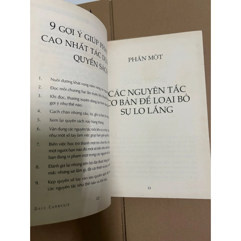 Quẳng gánh lo đi & vui sống 507209