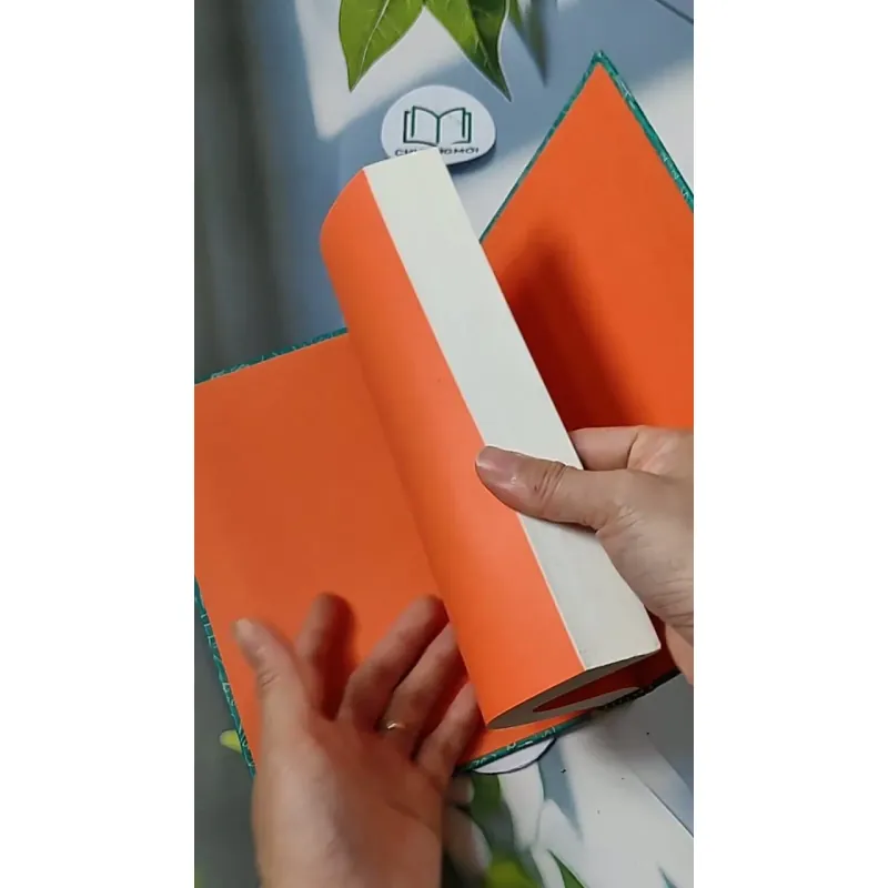 [MIỄN PHÍ BỌC SÁCH] Diary of a Wimpy Kid 18 703113