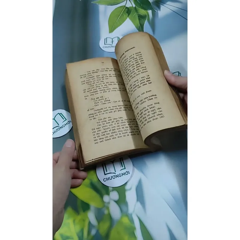 Tâm Hồn Cao Thượng (1989) 713894