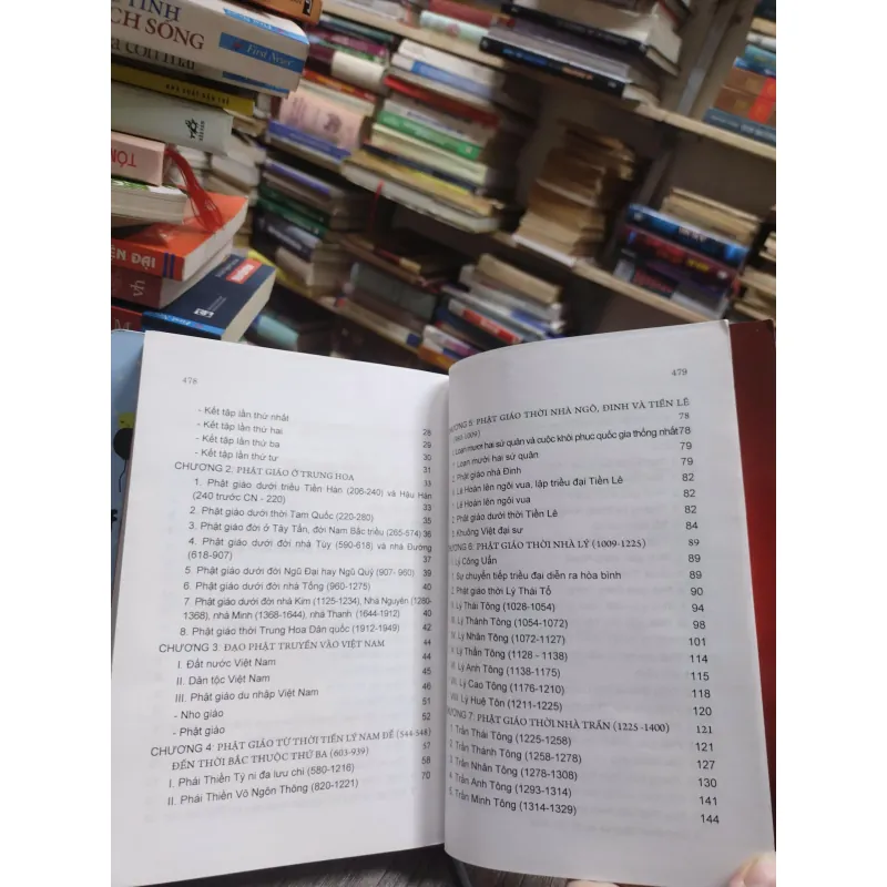 Sách: Phật giáo Việt Nam ( Từ khởi nguyên đến 1981) (A3) 602534