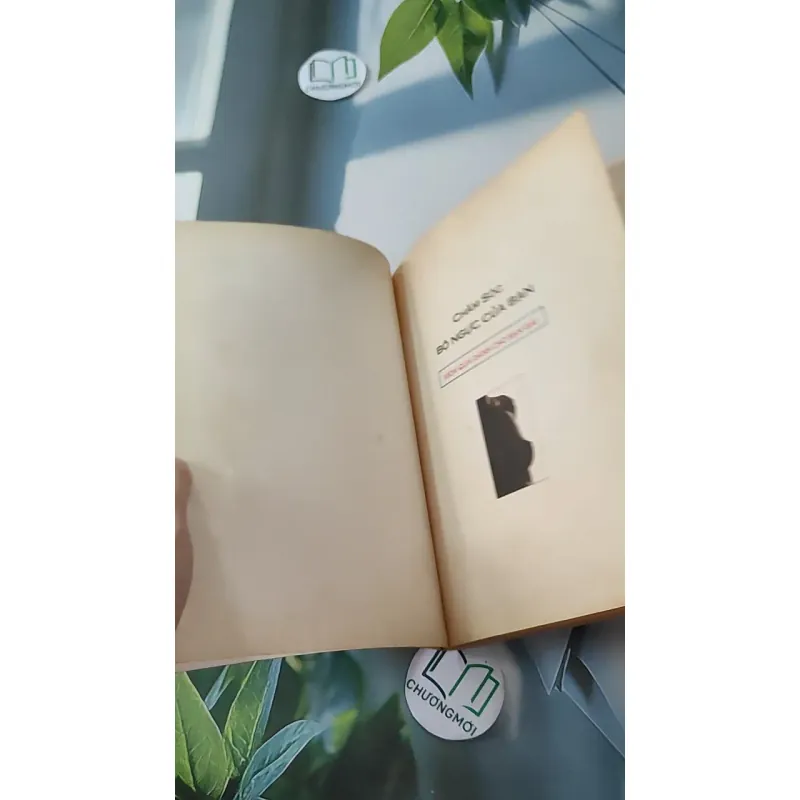 [MIỄN PHÍ BỌC SÁCH] [XƯA] Chăm sóc bộ ngực của bạn (1998) - Miriam Stoppard, M.D 1018808