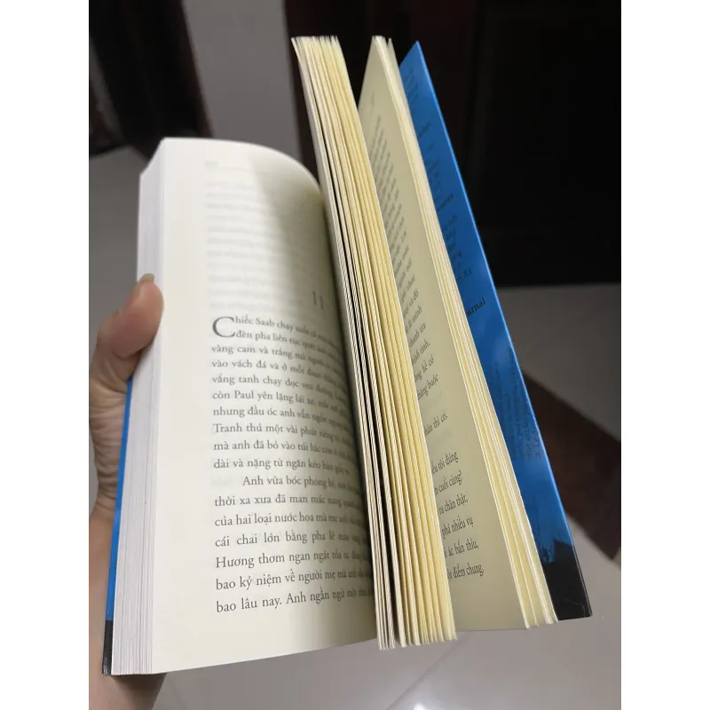 Nếu Em Không Phải Là Giấc Mơ 784160