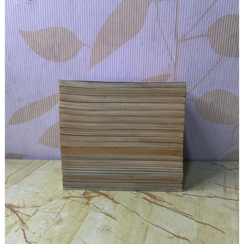 Pokemon full 12t  1000898