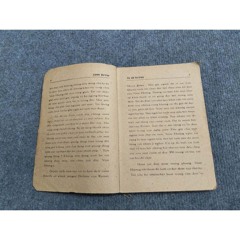 CÁNH BƯỚM - TỪ KẾ TƯỜNG 479766