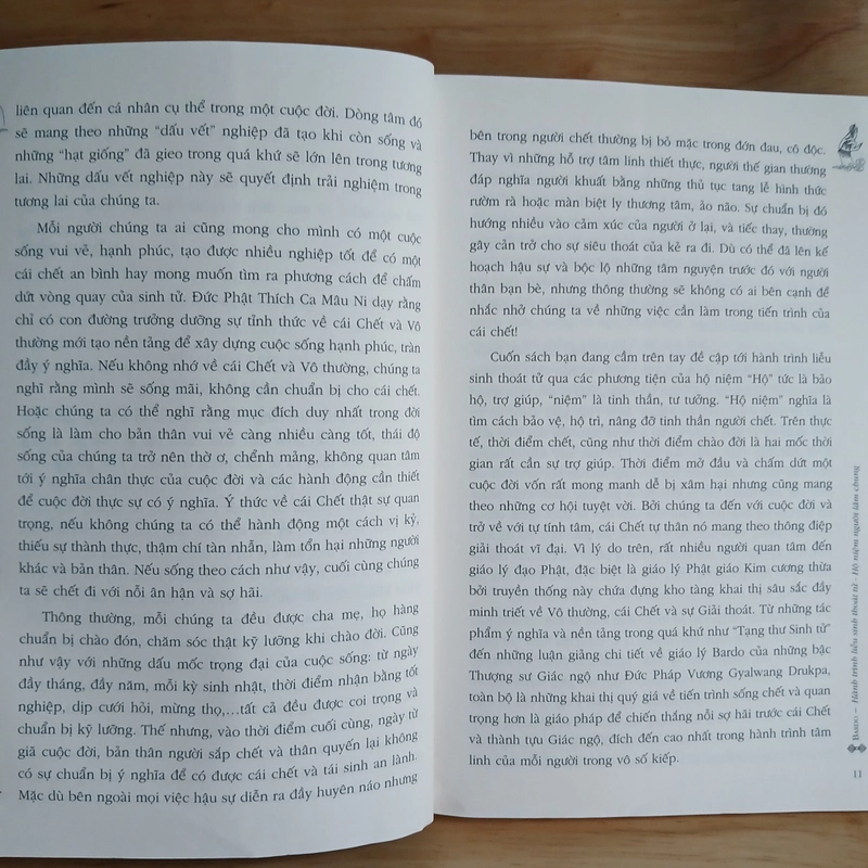 BARDO Hành Trình Liễu Sinh Thoát Tử - Drukpa Việt Nam 461365