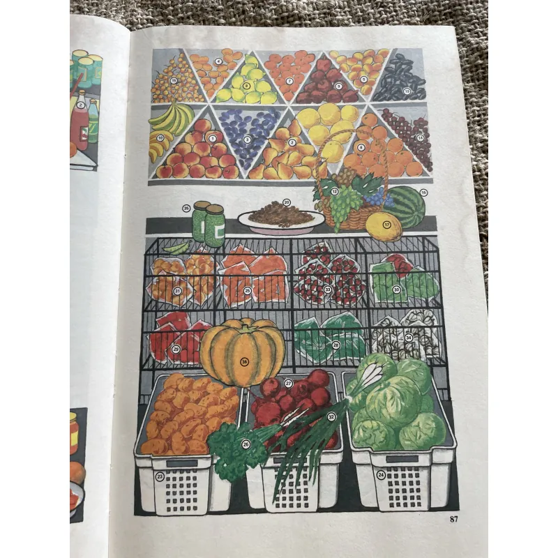 Иллюстрированный темотиЧеСкий-  словарь русского ЯЗЫКО- từ điển minh họa tiếng Nga  1003978