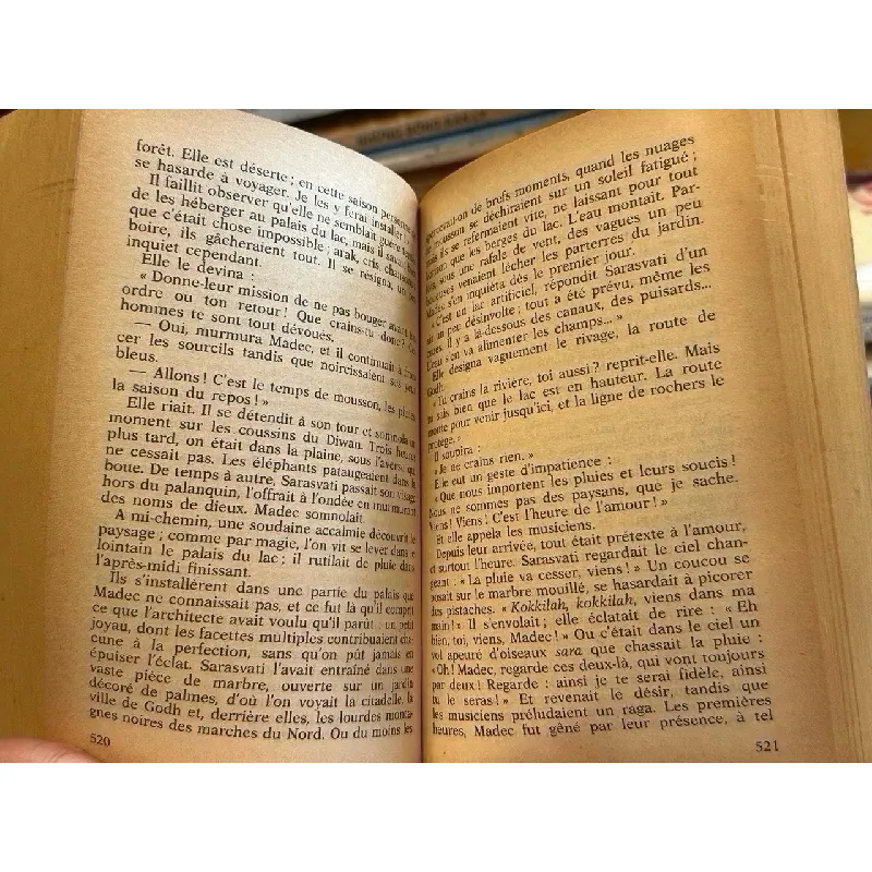 Le Nanab - Irène Frain 674413