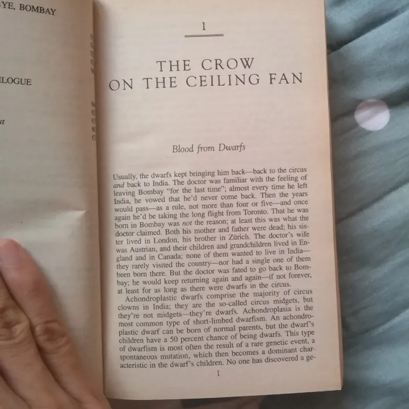 A son of the circus - John Irving 720774