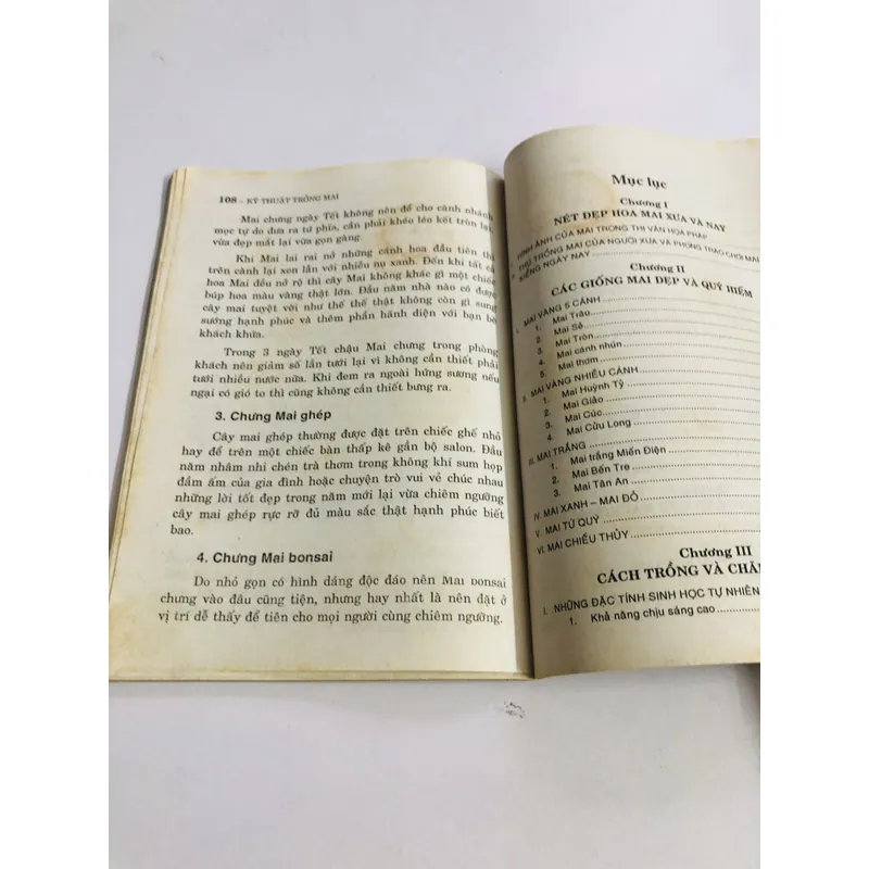 KỸ THUẬT TRỒNG MAI  595082