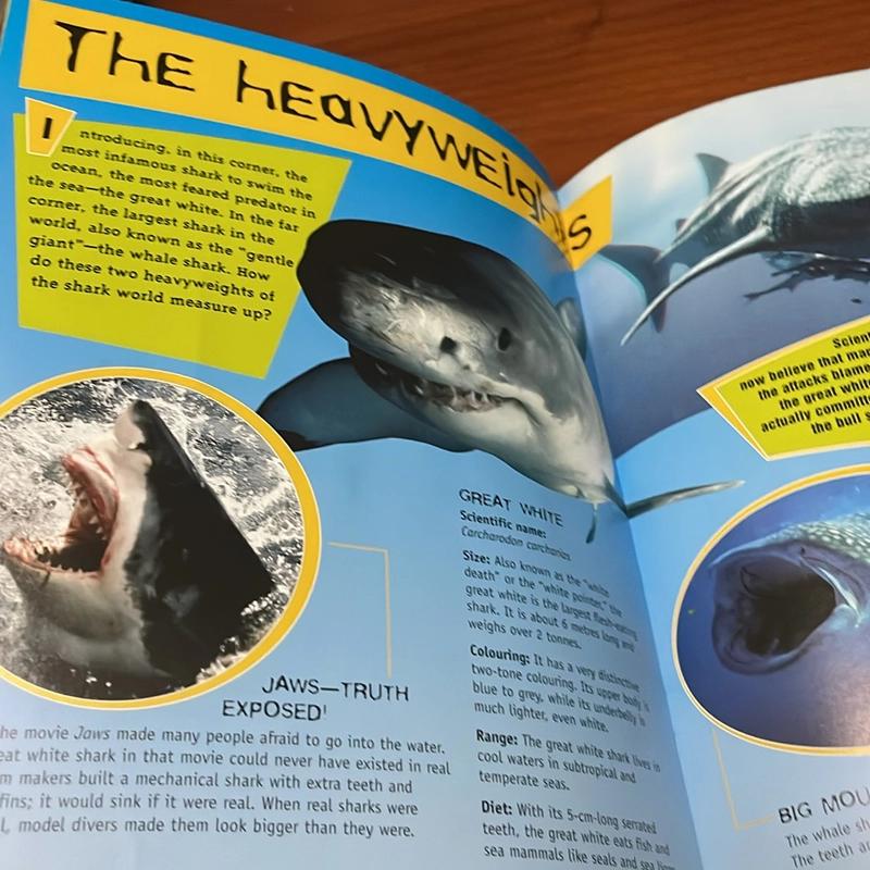 PICTURE BOOK 3-D thrillers! Sharks 536369
