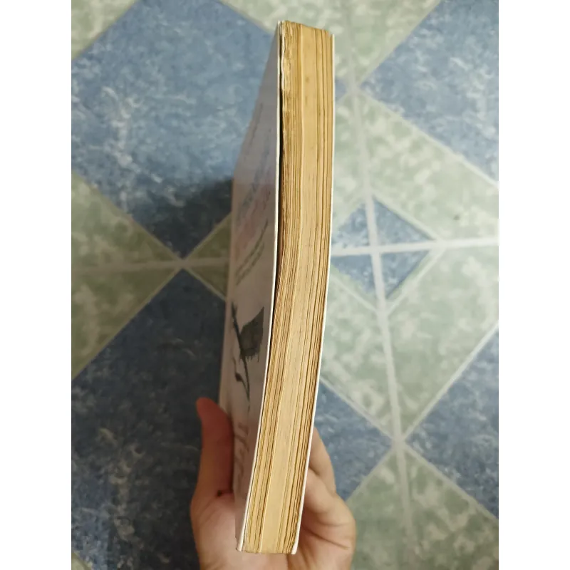 Lễ Thành Hầu Nguyễn Hữu Cảnh với công cuộc khai sáng miền Nam cuối thế kỷ thứ XVII 558607