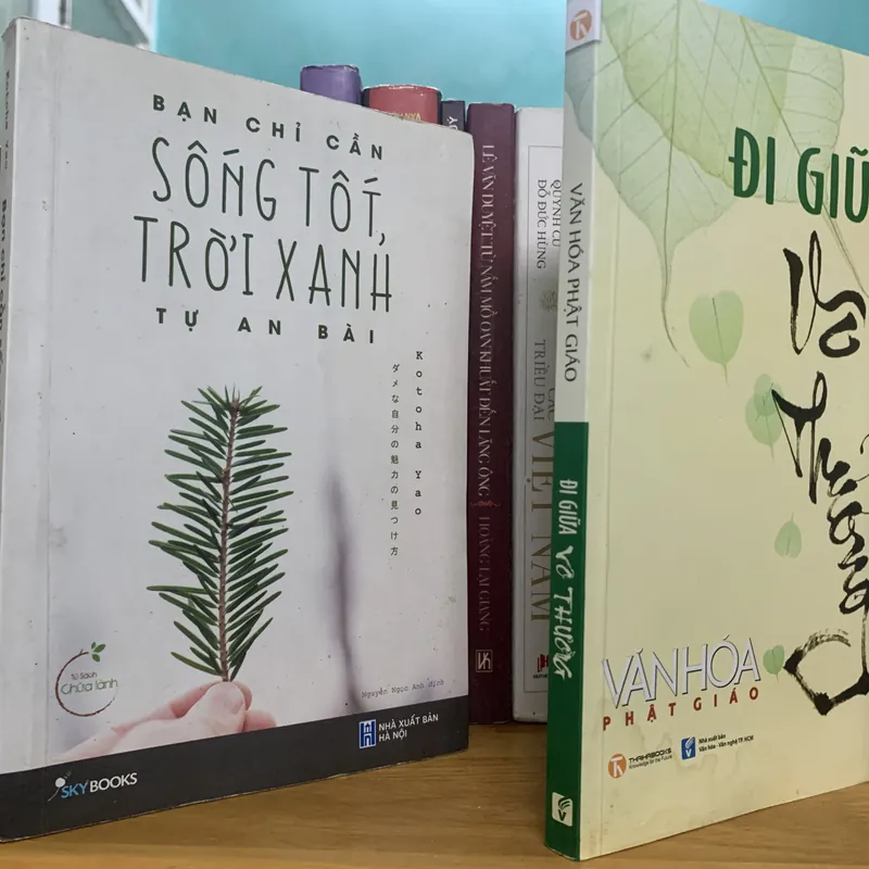 Sống tốt trời xanh tự an bài và đi giữa đời thường 588272