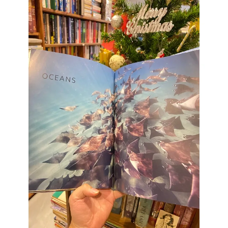 Planet Earth III - Matt Branson, Michael Gunton, Jonny Keeling 723413