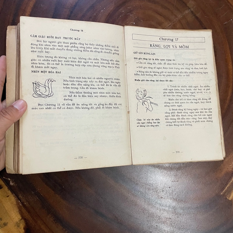 II Tựa sách: Chăm Sóc Sức Khoẻ - DAVID WERNER - 1987 445327