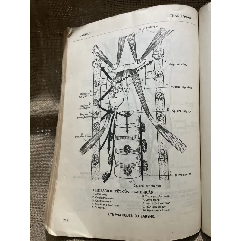 Tập tranh giải phẫu tai mũi họng -GS NGUYỄN ĐÌNH BẢNG BIÊN SOẠN-210 trang khổ lớn  799809