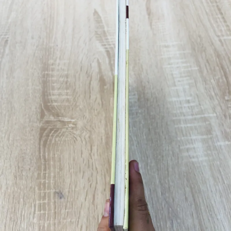 PHONG THUỶ CHO VĂN PHÒNG – Sharon Stasney 931687