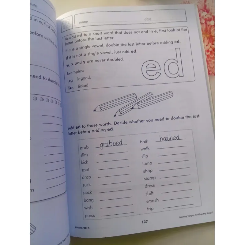 Learning Targets for Literacy: Spelling 993505