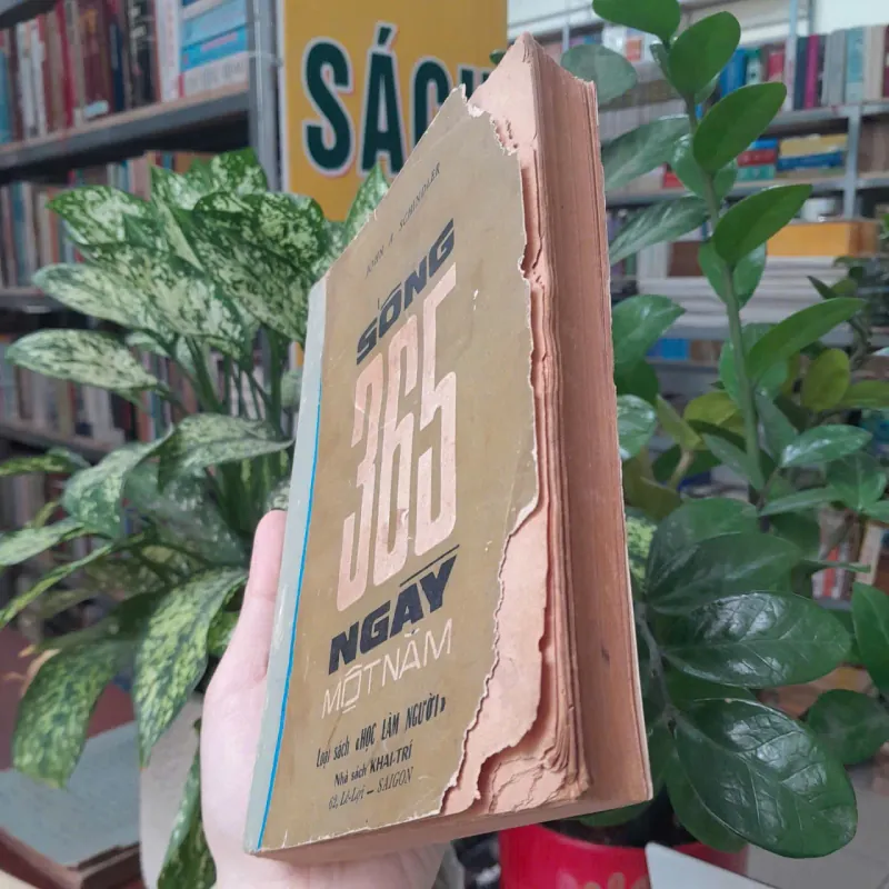 SỐNG 365 NGÀY MỘT NĂM - TẾ XUYÊN 755736