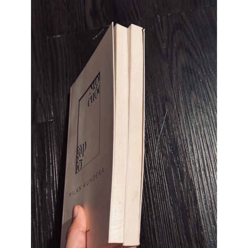 Combo màn + một cuộc gặp gỡ - Milan Kundera 474889