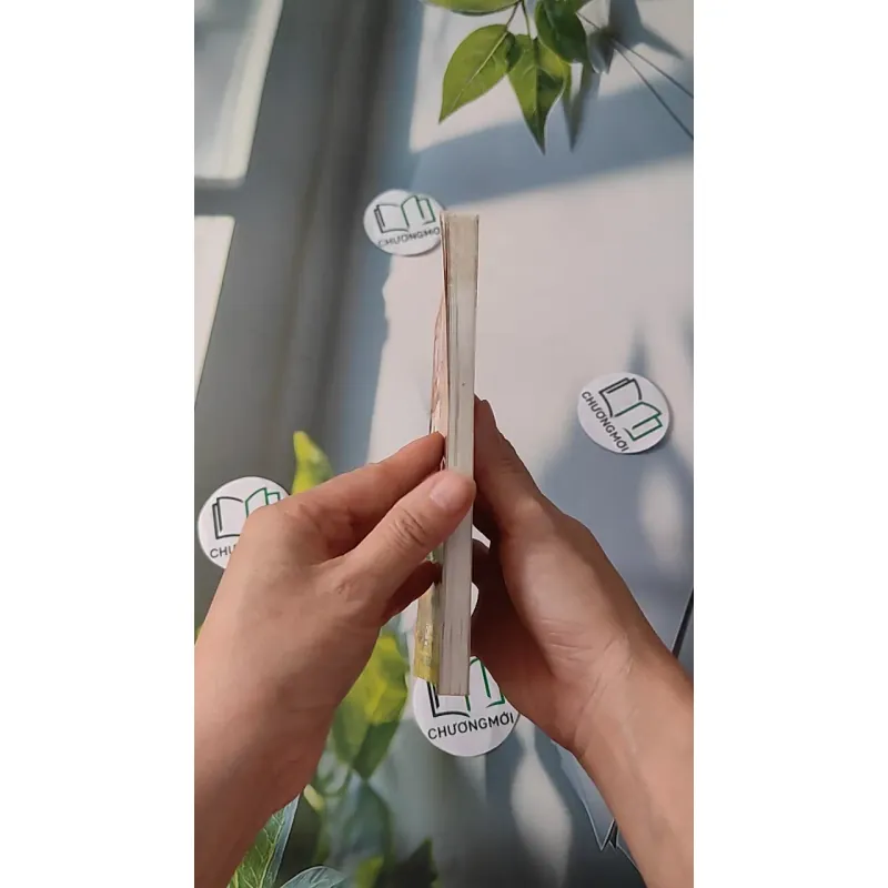 Việt Nam Tư Liệu Tóm Tắt - Nguyễn Khắc Thuần 970225