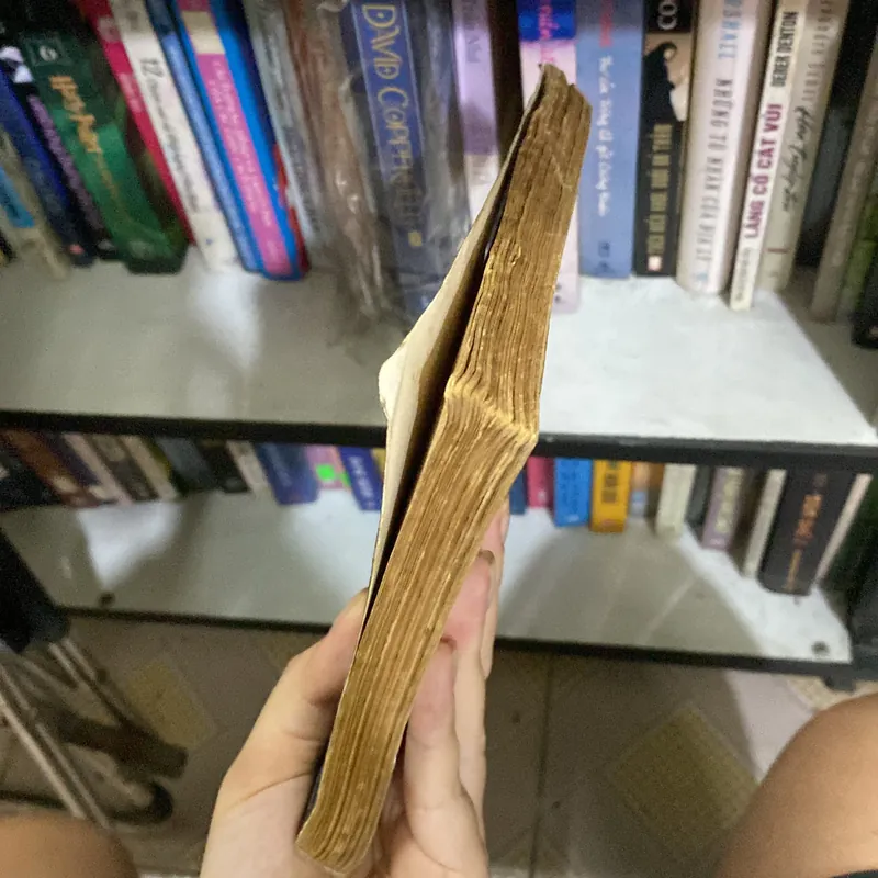 Cô giáo Minh Nguyễn Công Hoan 716609