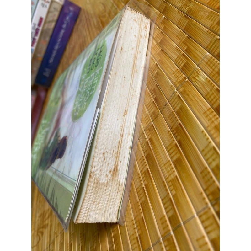 Hứa trao em kim ngọc lương duyên 507657