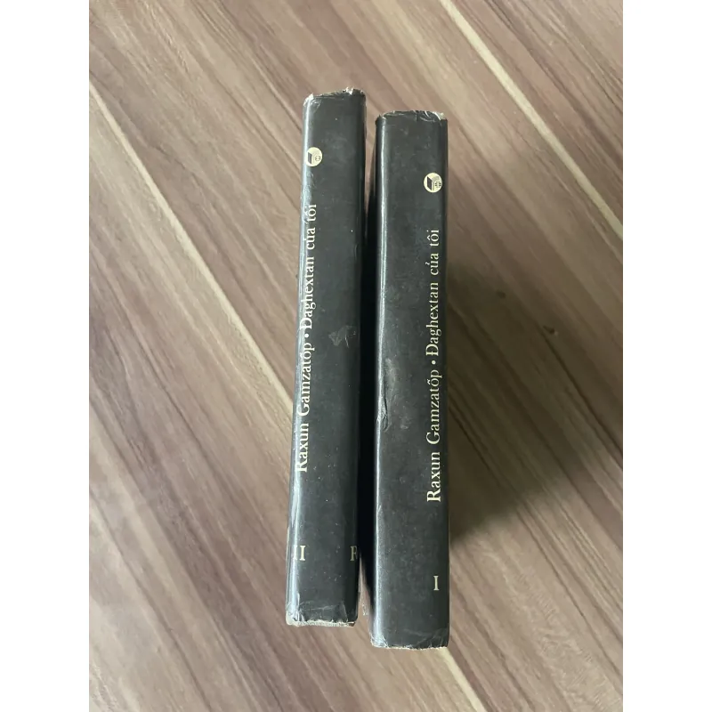 Dagestan của tôi; Nhà xuất bản Cầu Vồng, sách in tại Nga ruột đẹp  782715