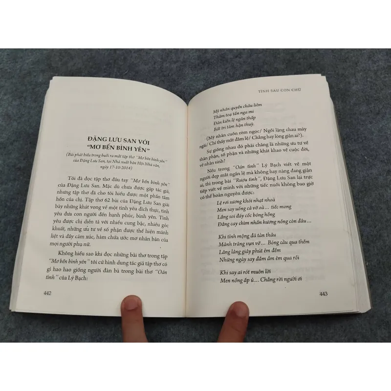 TÌNH SAU CON CHỮ. TIỂU LUẬN & BÚT KÝ 936841