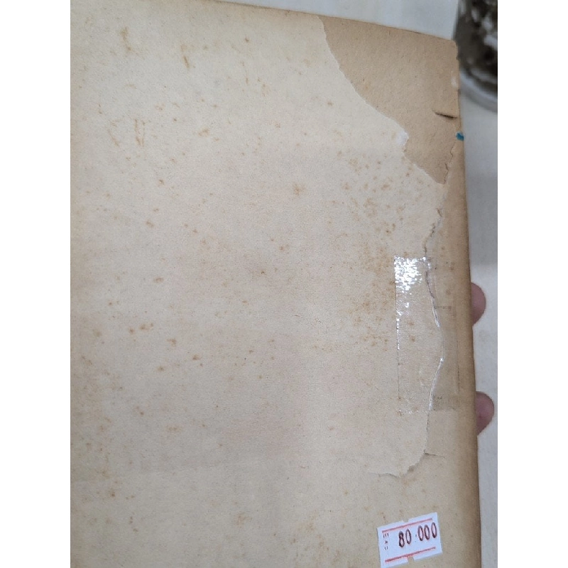 Tâm lý học thanh niên - Người dịch Phạm Mịnh Hạc & Ngô Hào Hiệp 931307