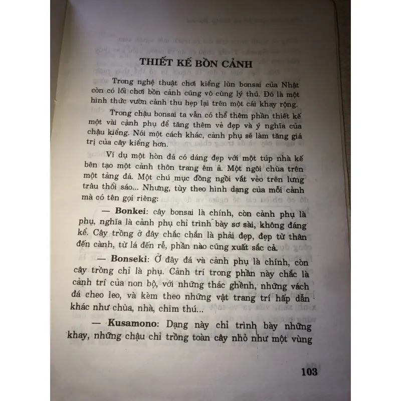 Thú chơi non bộ và kiểng bonsai 970620