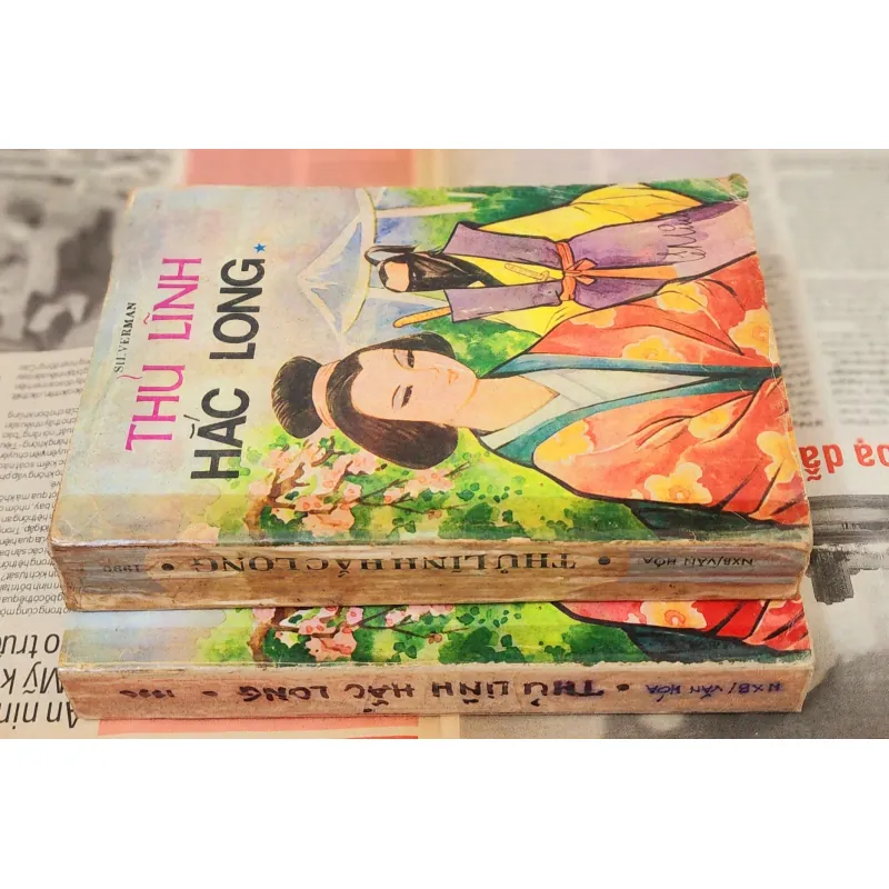 Trọn bộ 2q tiểu thuyết THỦ LĨNH HẮC LONG - Dov Silverman (696 trang) 993054