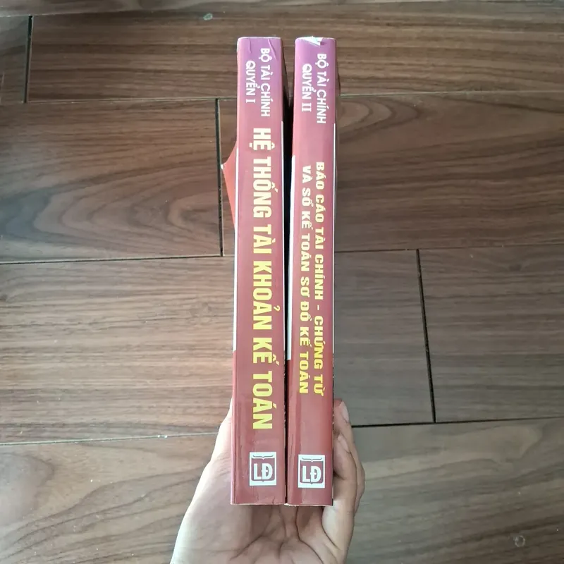 Chế độ kế toán doanh nghiệp - Báo cáo tài chính chứng từ và sổ kế toán, sơ đồ kế toán 597167