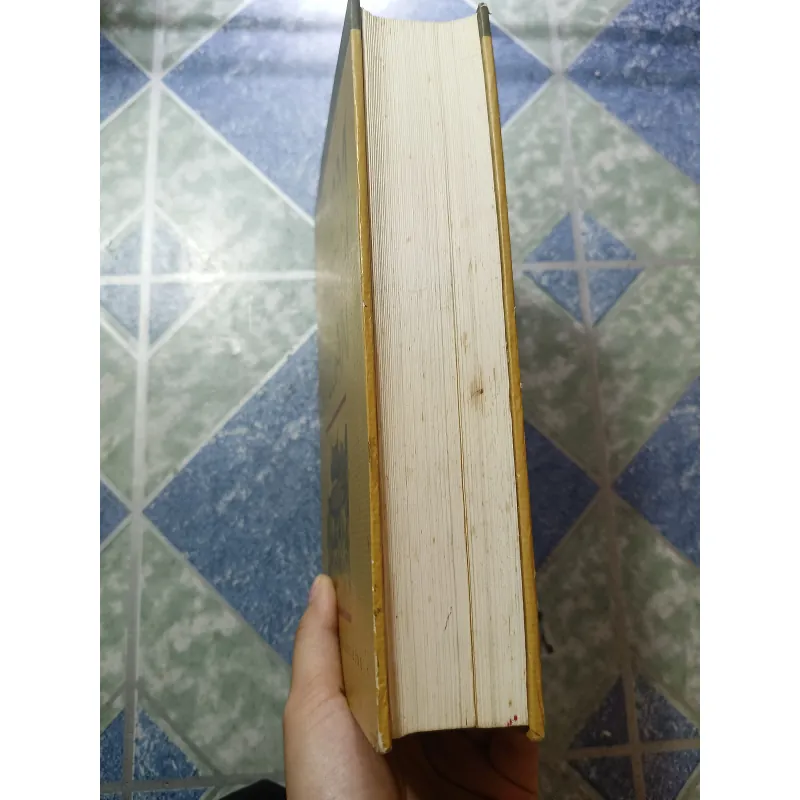 Việt Nam Phật giáo sử luận - Nguyễn Lang 974915